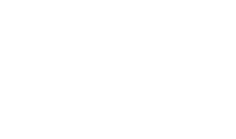 Diretiva Patrimonial